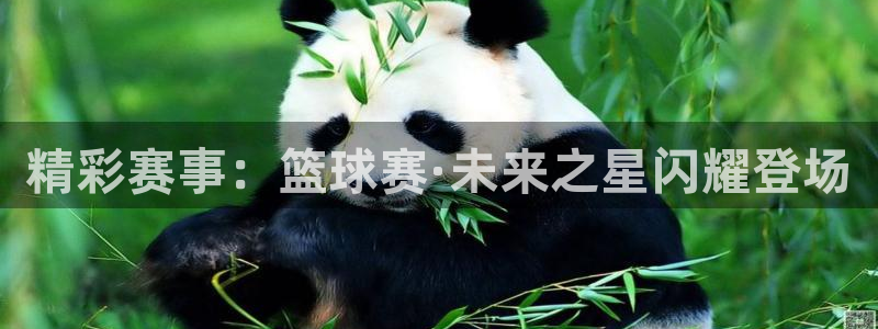 od体育官网下载：精彩赛事：篮球赛·未来之星闪耀登场