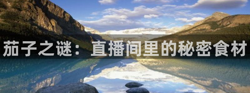 龙门足球直播：茄子之谜：直播间里的秘密食材