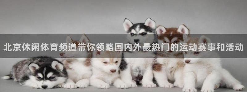 龙门nba免费直播
