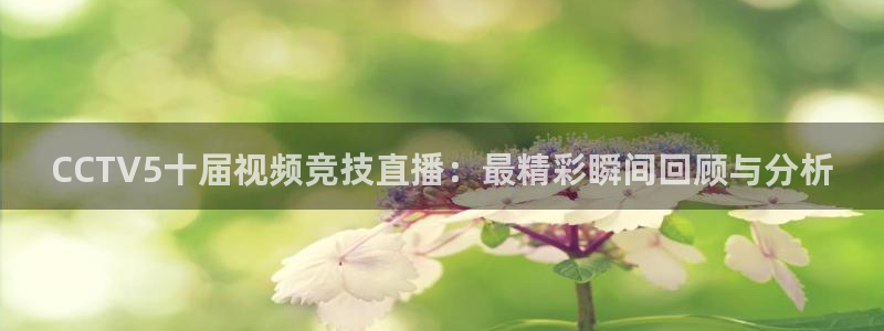 龙门比赛直播