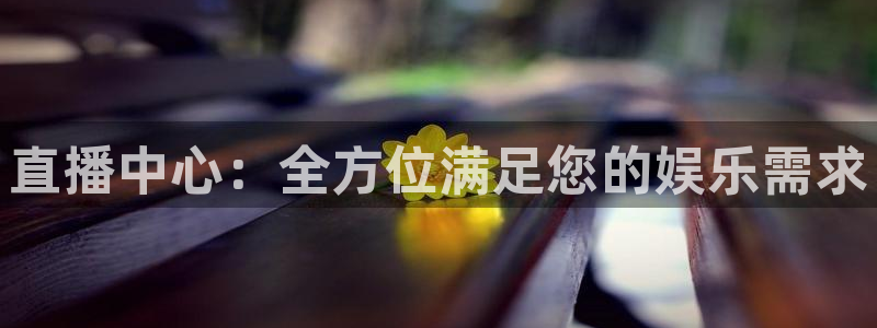 看球直播龙门直播