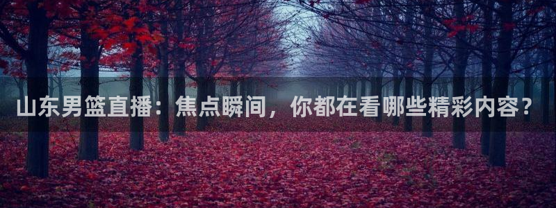 龙门令1至100集免费观看