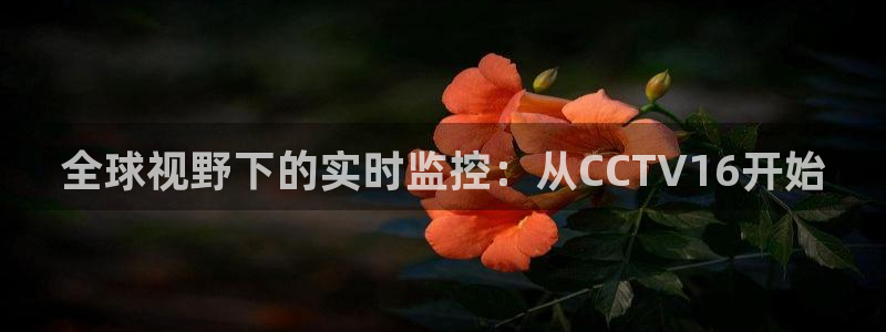 龙门飞甲超清在线播放：全球视野下的实时监控：从CCTV16开始