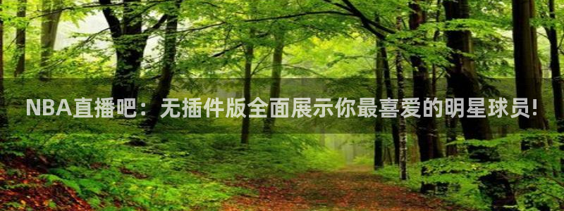 龙门免费直播：NBA直播吧：无插件版全面展示你最喜爱的明星球员!