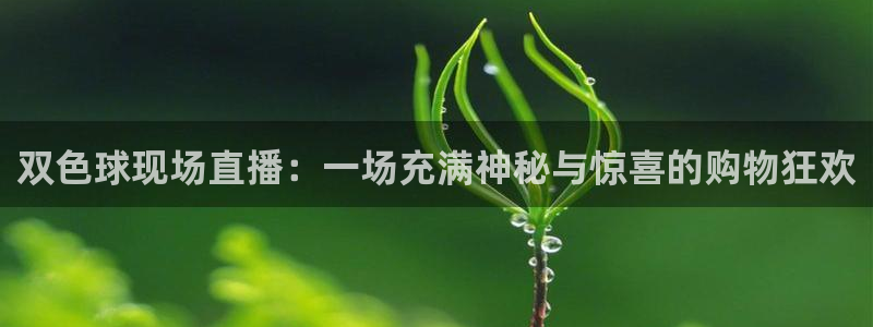 龙门飞甲粤语在线看：双色球现场直播：一场充满神秘与惊喜的购物狂欢