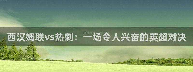 下载龙门体育直播：西汉姆联vs热刺：一场令人兴奋的英超对决
