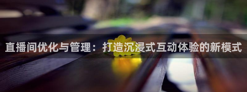 龙门直播间在线观看：直播间优化与管理：打造沉浸式互动体验的新模式