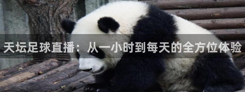 龙门直播nba免费直播下载：天坛足球直播：从一小时到每天的全方位体验