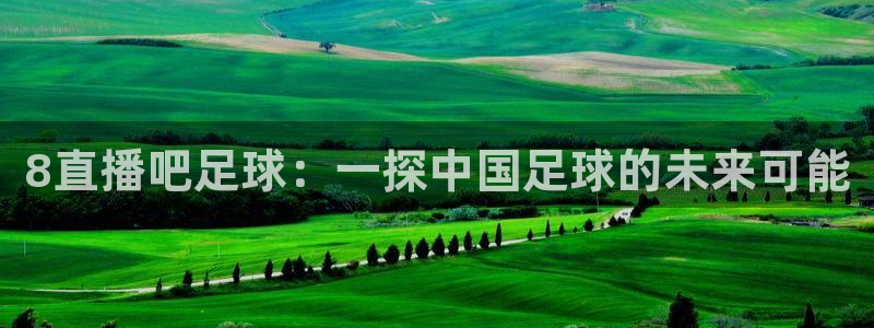 下载龙门体育直播：8直播吧足球：一探中国足球的未来可能